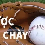 đặt cược bóng chày